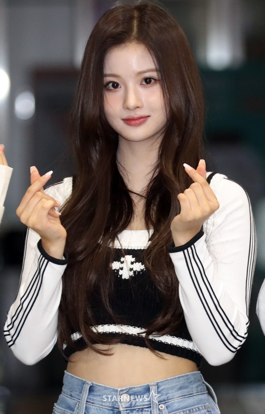 사진