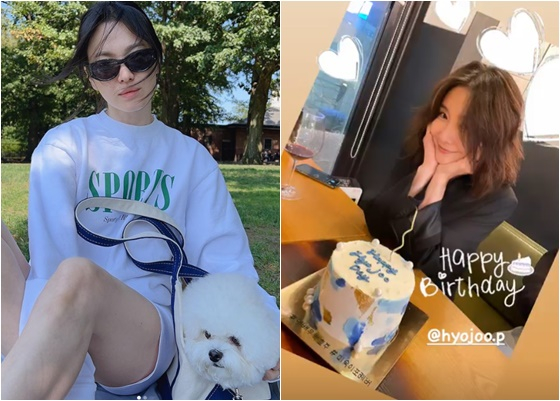 /사진=송혜교 인스타그램