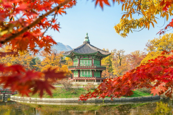 /사진제공=pixabay