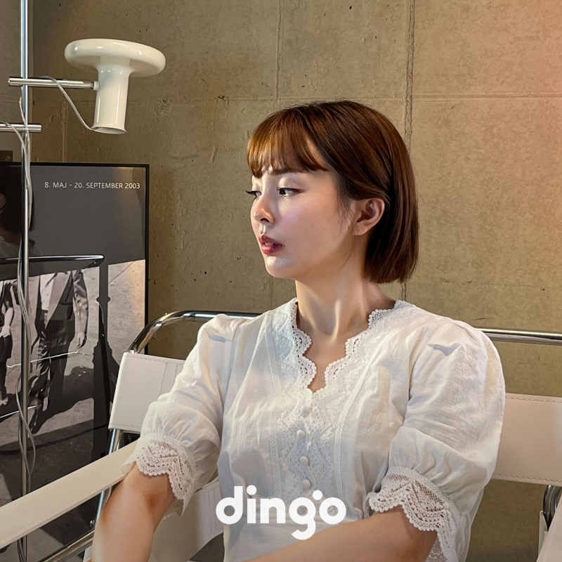 /사진=딩고
