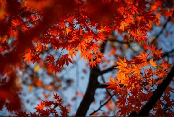 가수 정미애가 인스타그램에 게재한 사진./사진=정미애 인스타그램