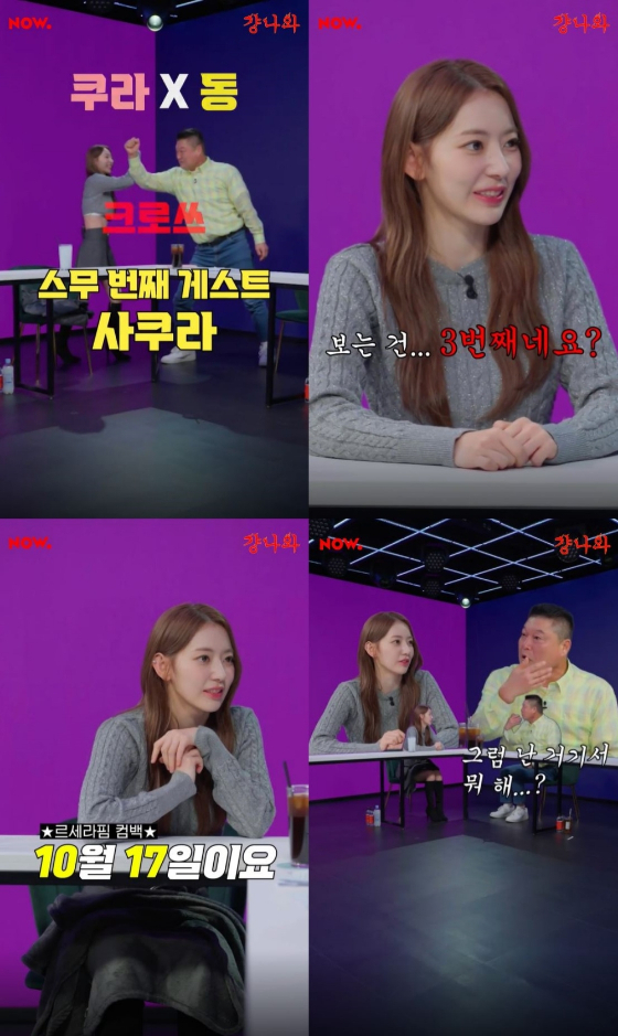네이버 NOW. '걍나와'에 출연한 르세라핌의 사쿠라./사진=네이버 NOW. '걍나와' 예고 영상 캡처