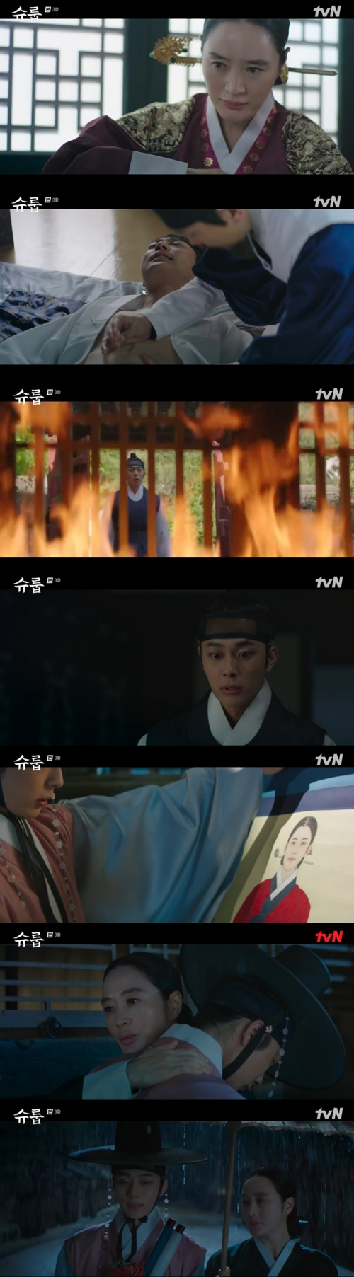 /사진=tvN 토일드라마 '슈룹' 방송 화면 캡쳐