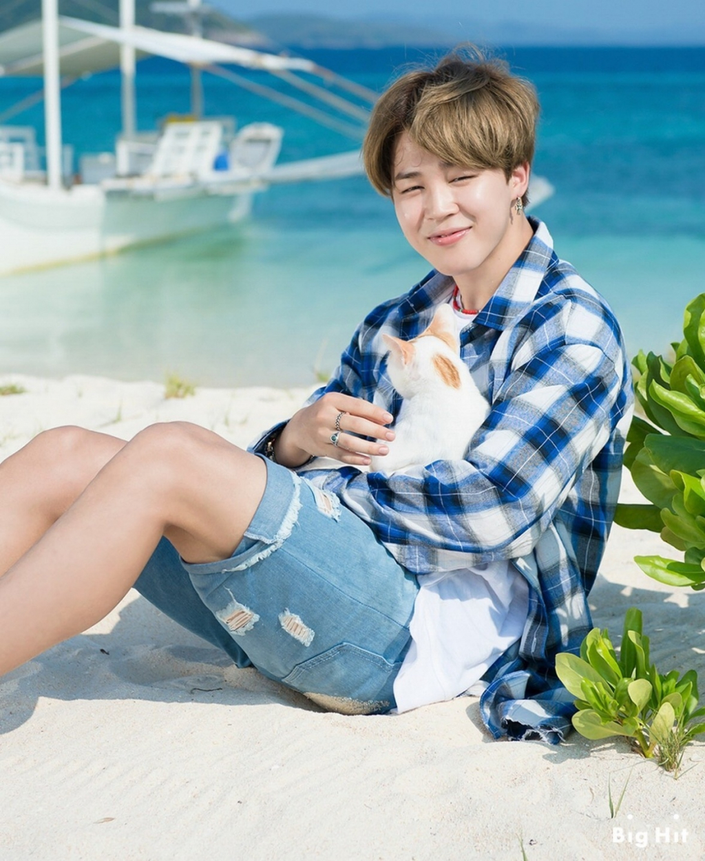 사진