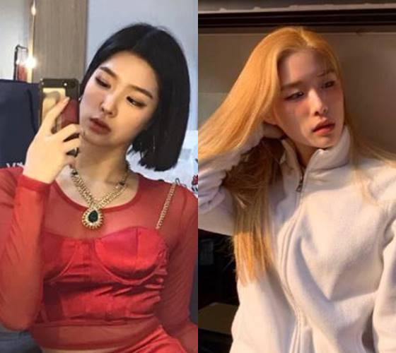 /사진=표바하 인스타그램