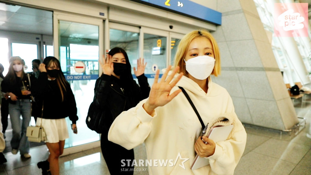 사진