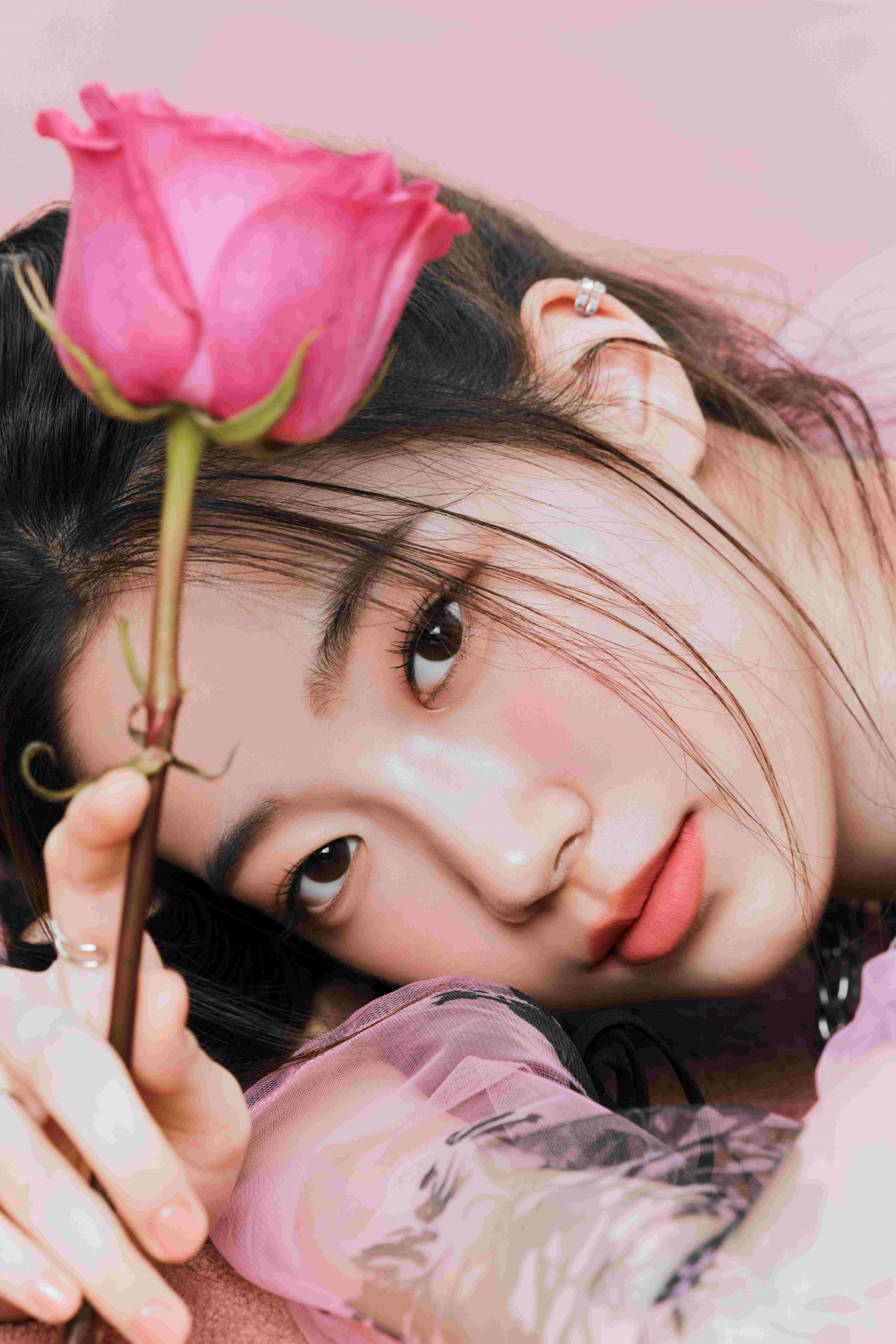 사진