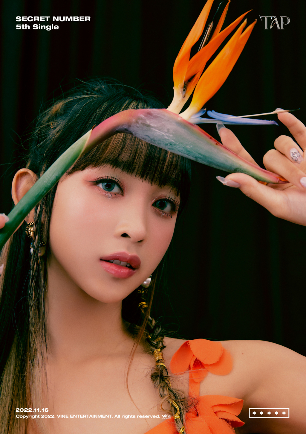 /사진제공=바인엔터테인먼트