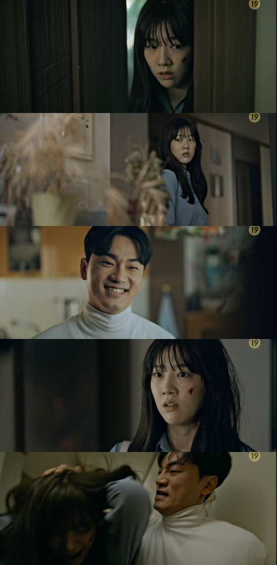 /사진=SBS '소방서 옆 경찰서' 방송 화면 캡처