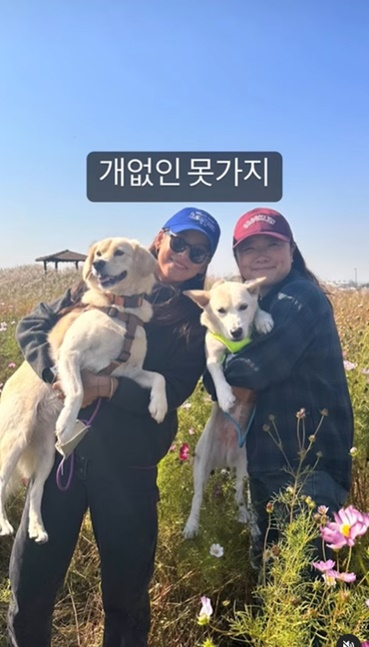 /사진='캐나다 체크인'