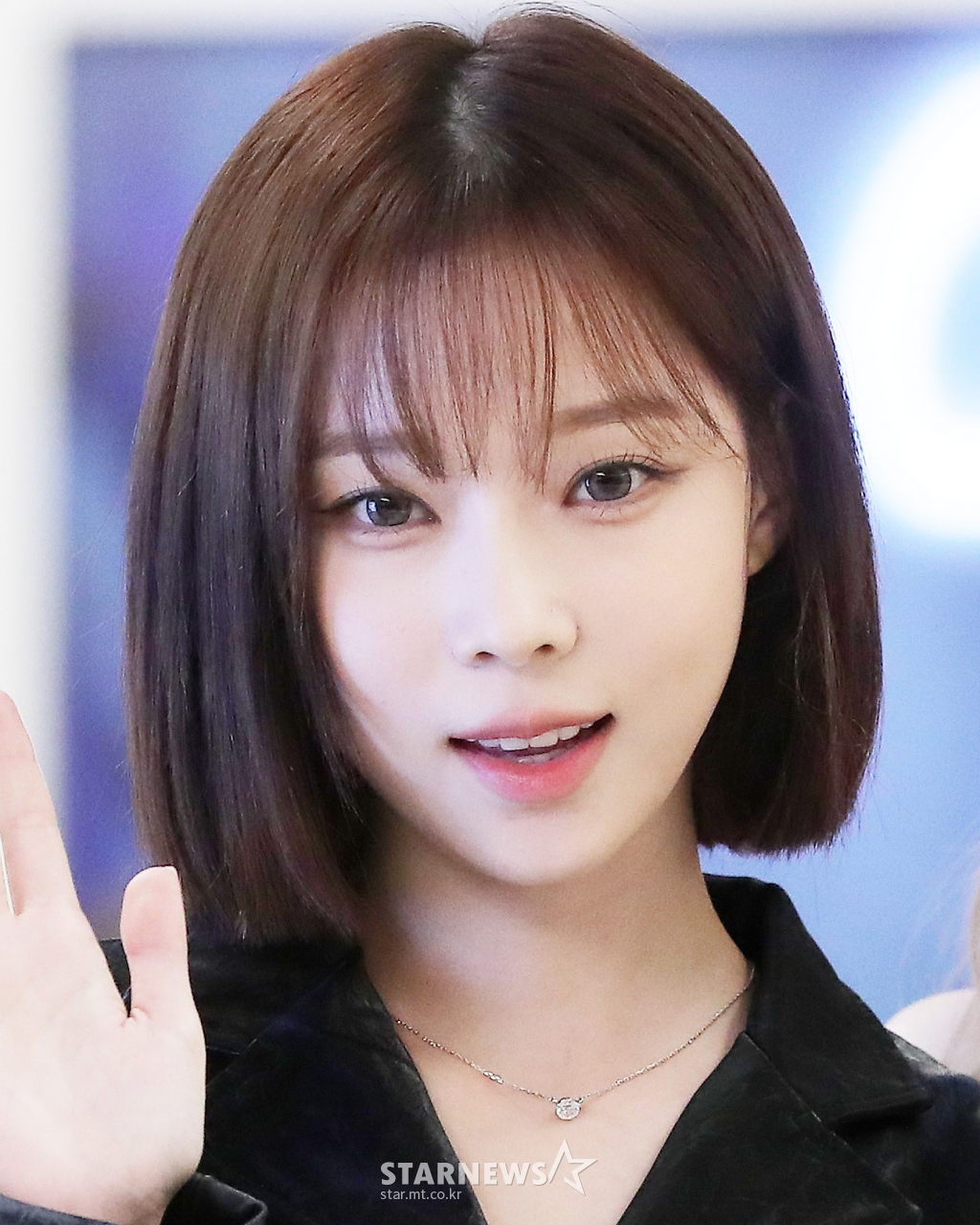 사진