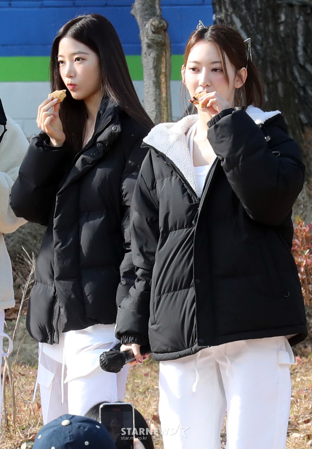 사진