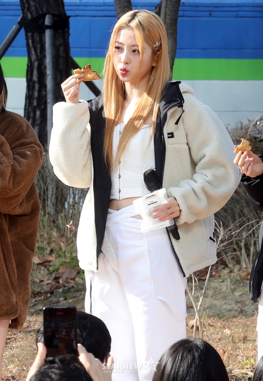 사진