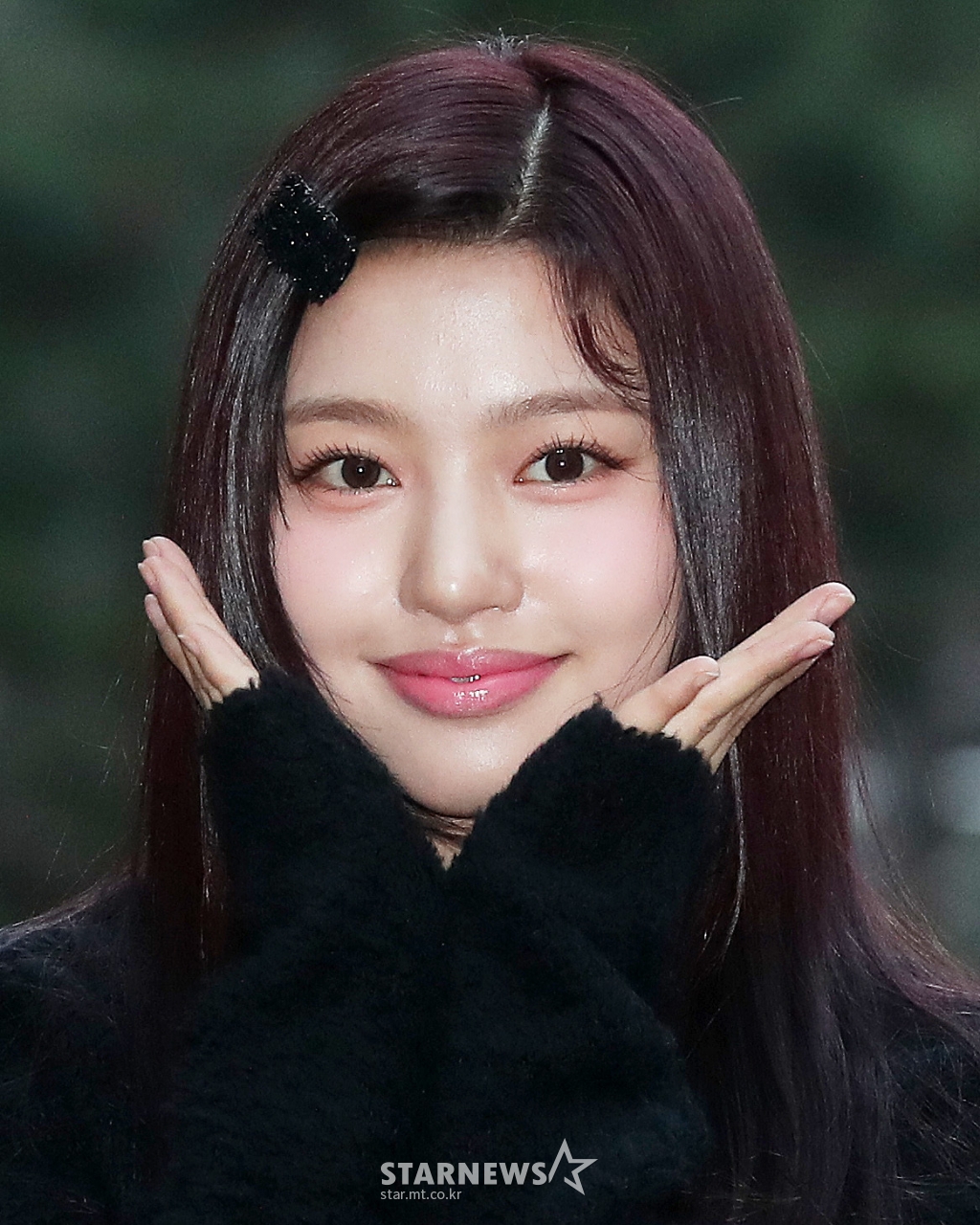 사진
