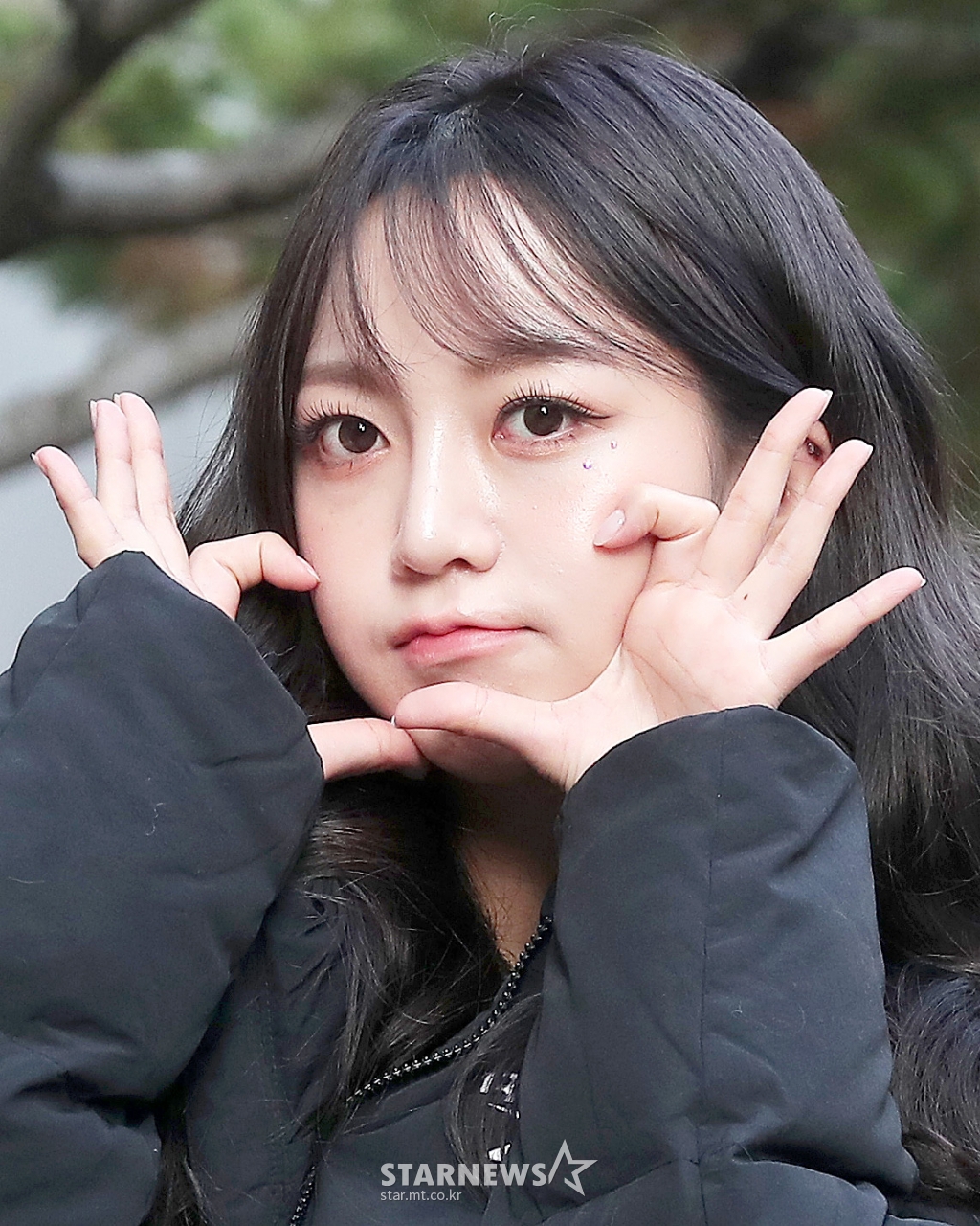 사진
