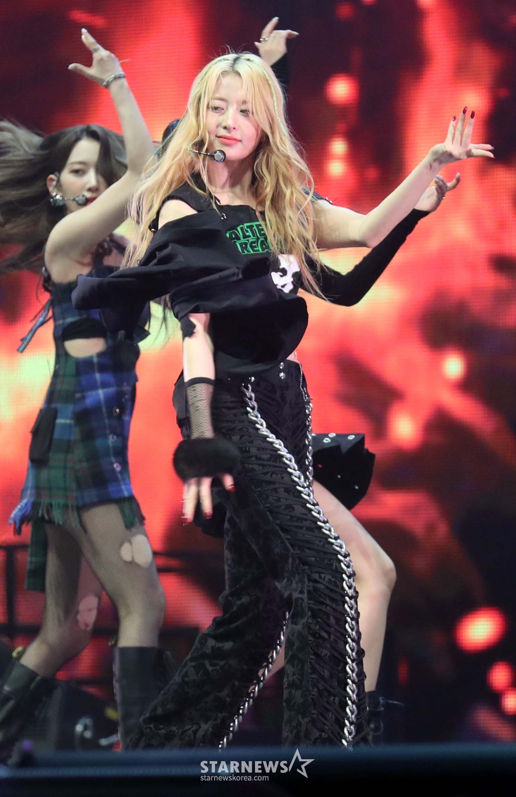 사진