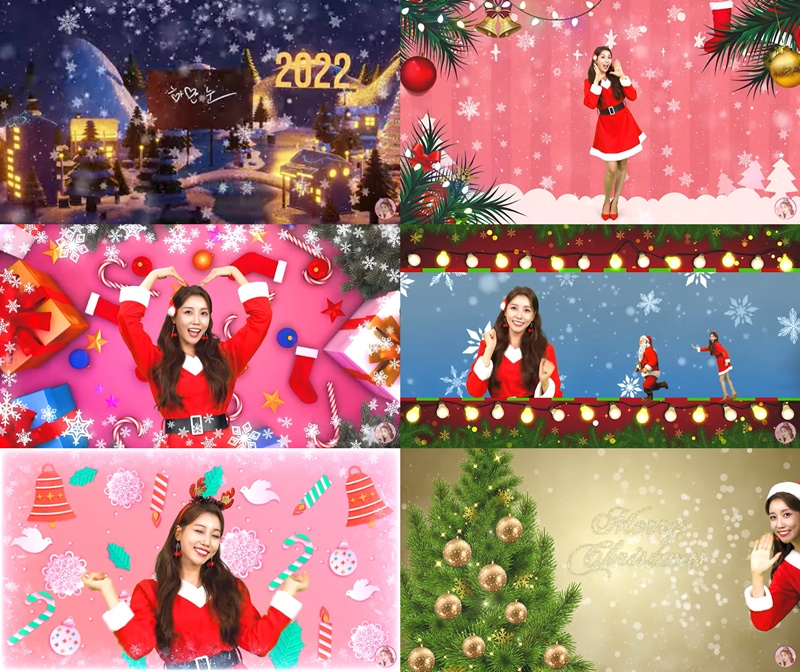 /사진=프로비트컴퍼니