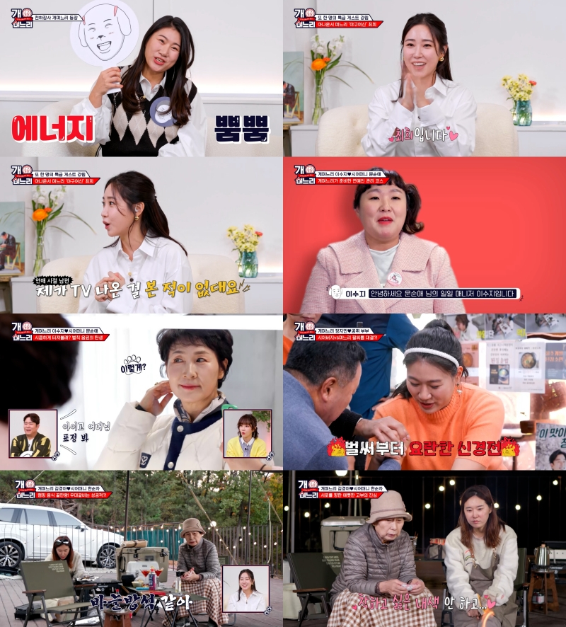 최희 / 사진=E채널 개며느리