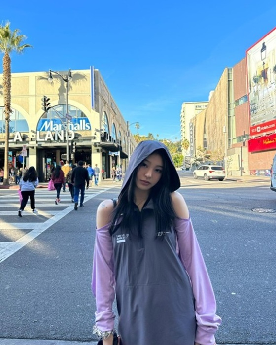 /사진=노제