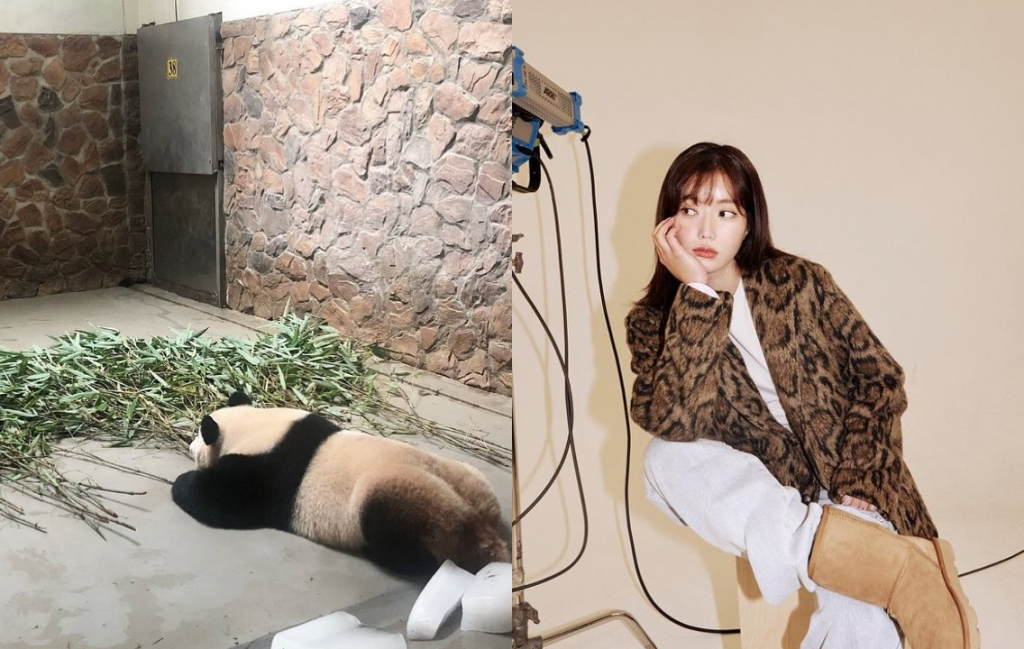 /사진=임수향 인스타그램