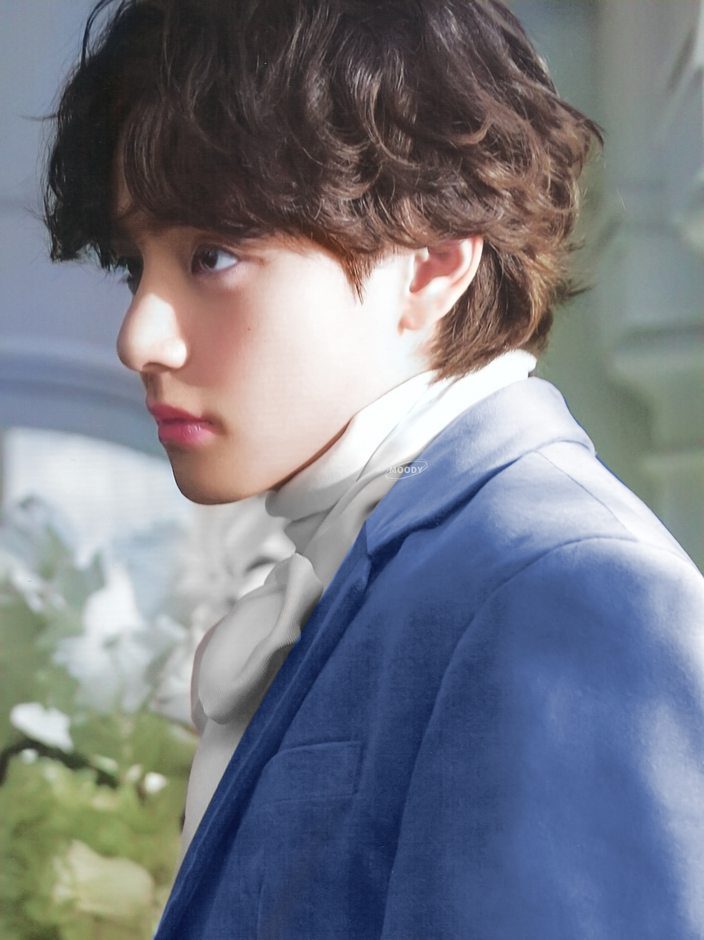 사진