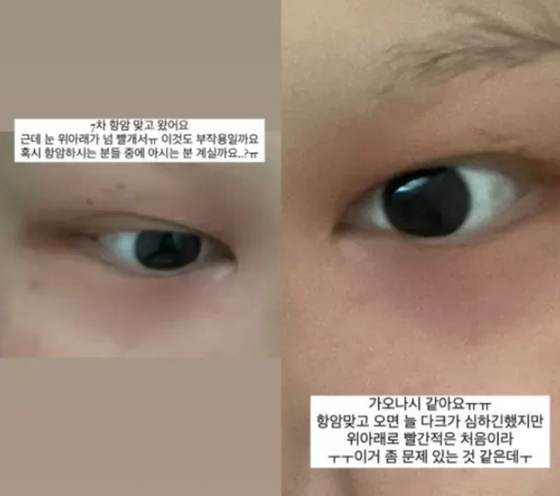 /사진=이채린