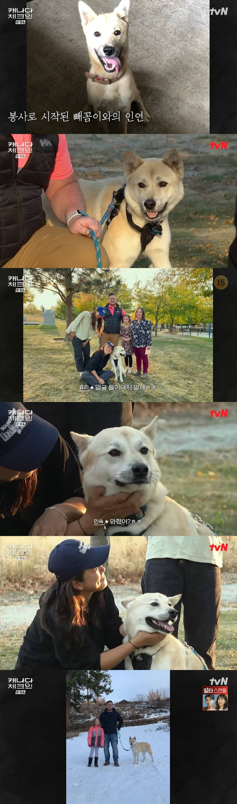 /사진=tvN '캐나다 체크인' 방송 캡처