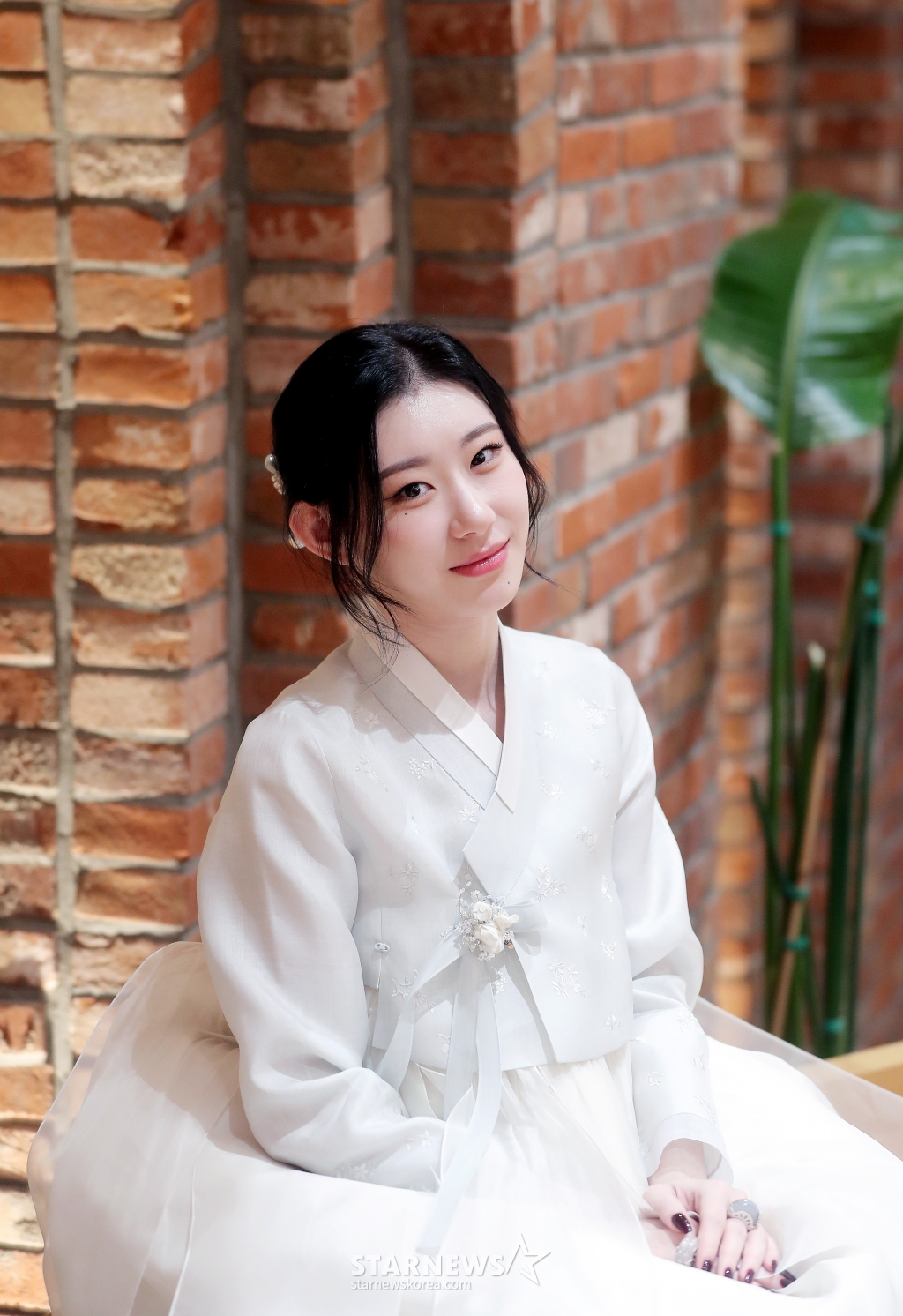 사진