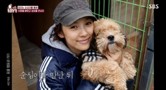 /사진=SBS 방송화면