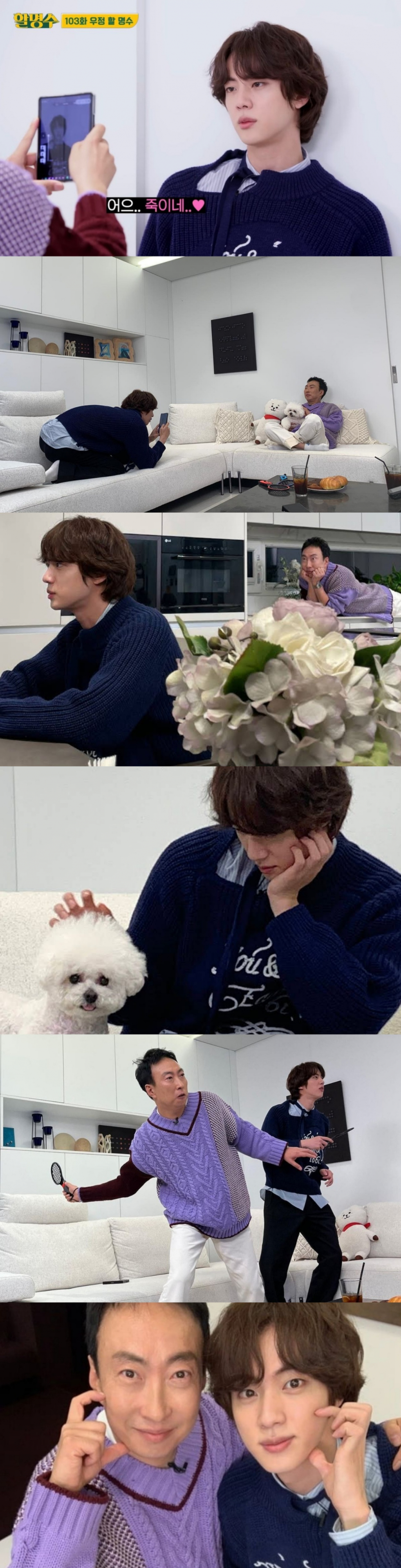 사진