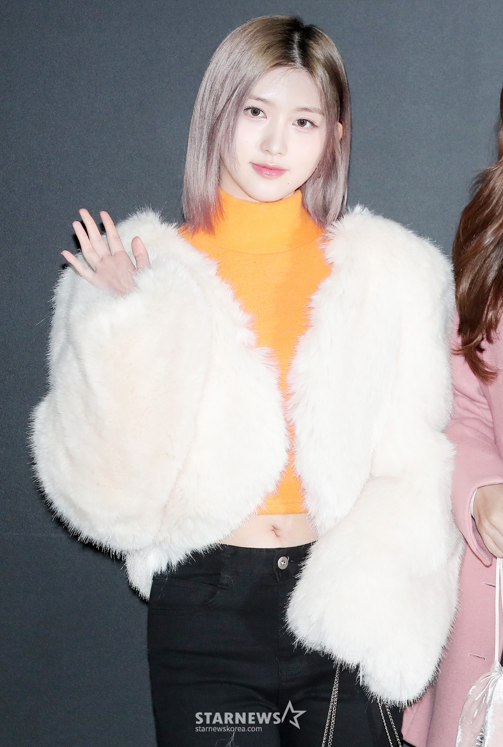 사진