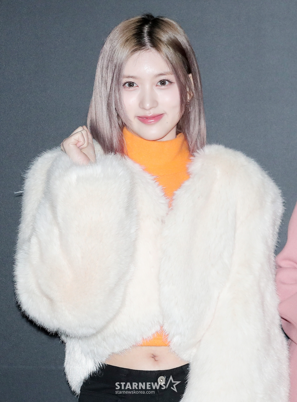 사진