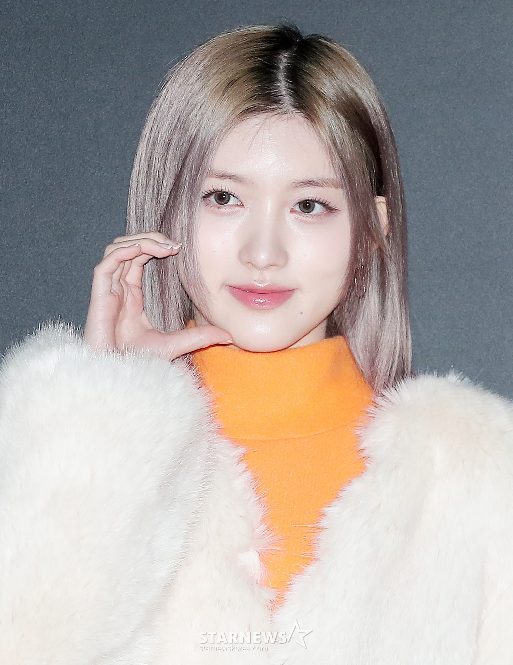 사진
