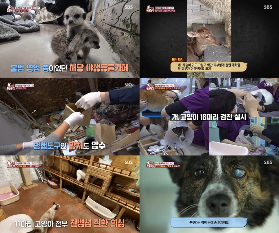 /사진=SBS