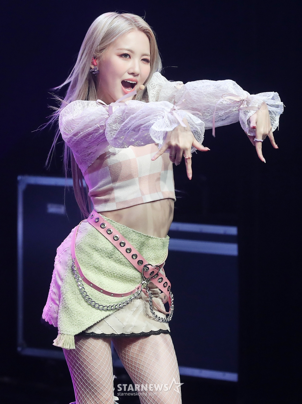 사진