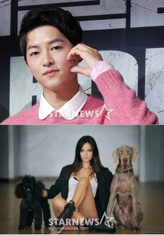 송중기, 케이티 /사진=스타뉴스, 케이티