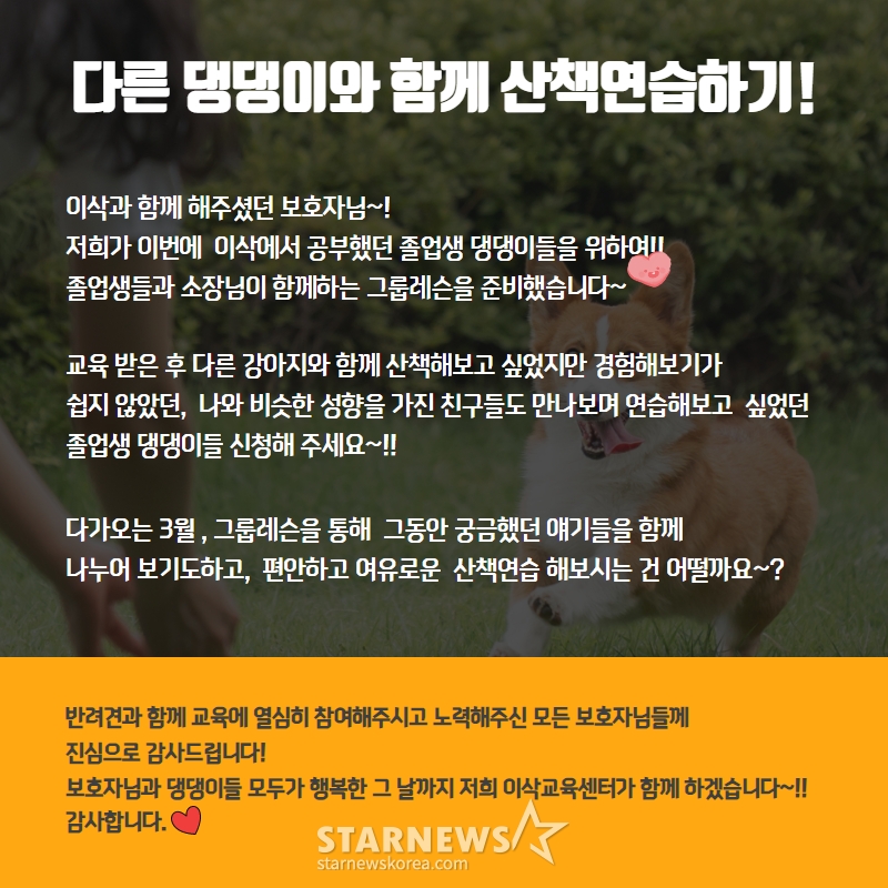 /사진=이삭애견훈련소