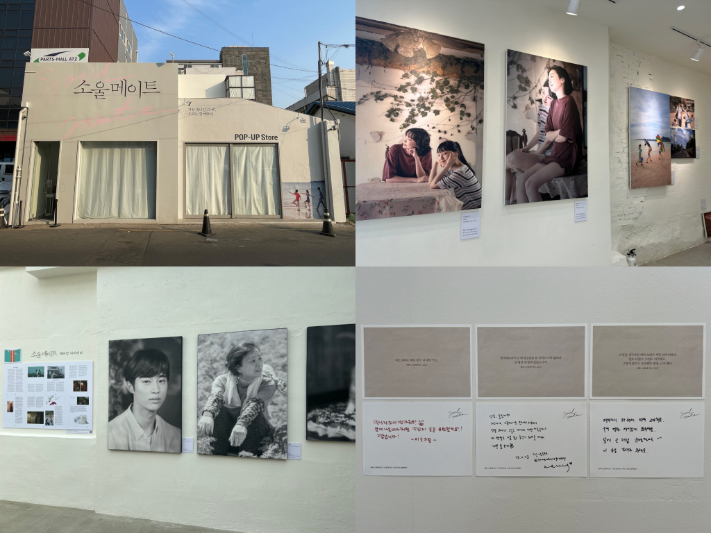 사진=스튜디오앤뉴/NEW/클라이맥스 스튜디오