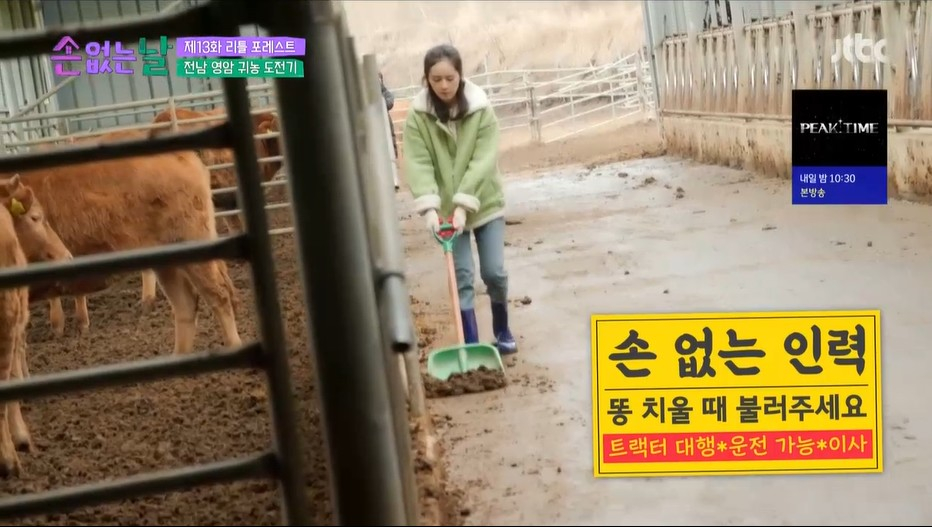 /사진='손 없는 날' 방송화면