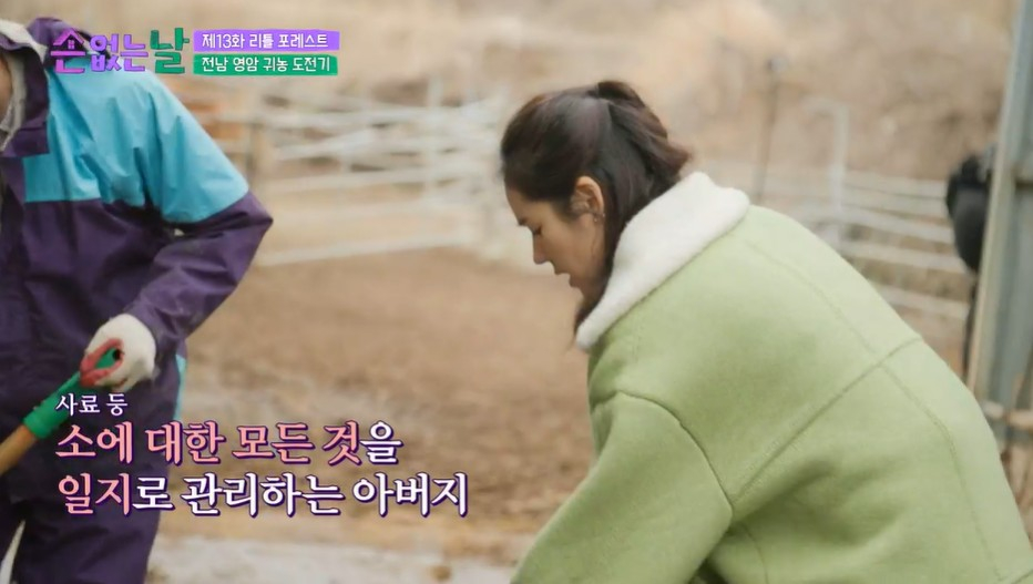 /사진='손 없는 날'