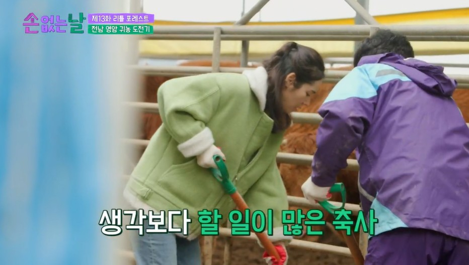 /사진='손 없는 날'