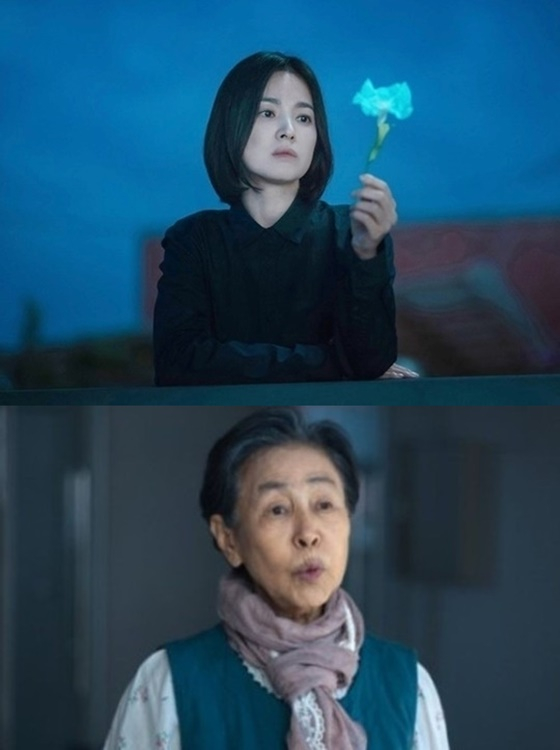 사진