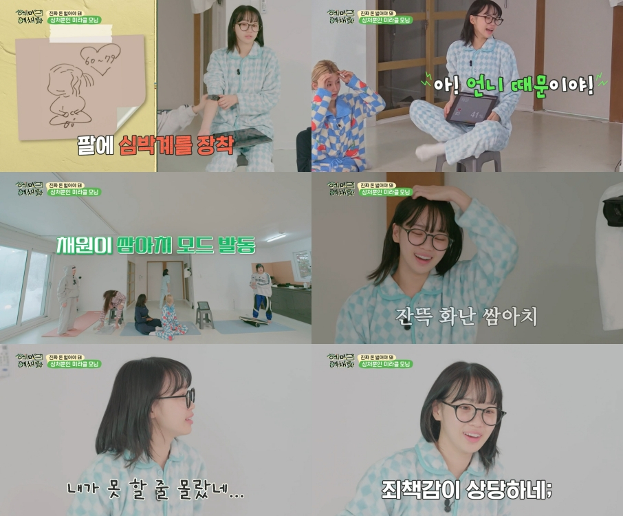 사진