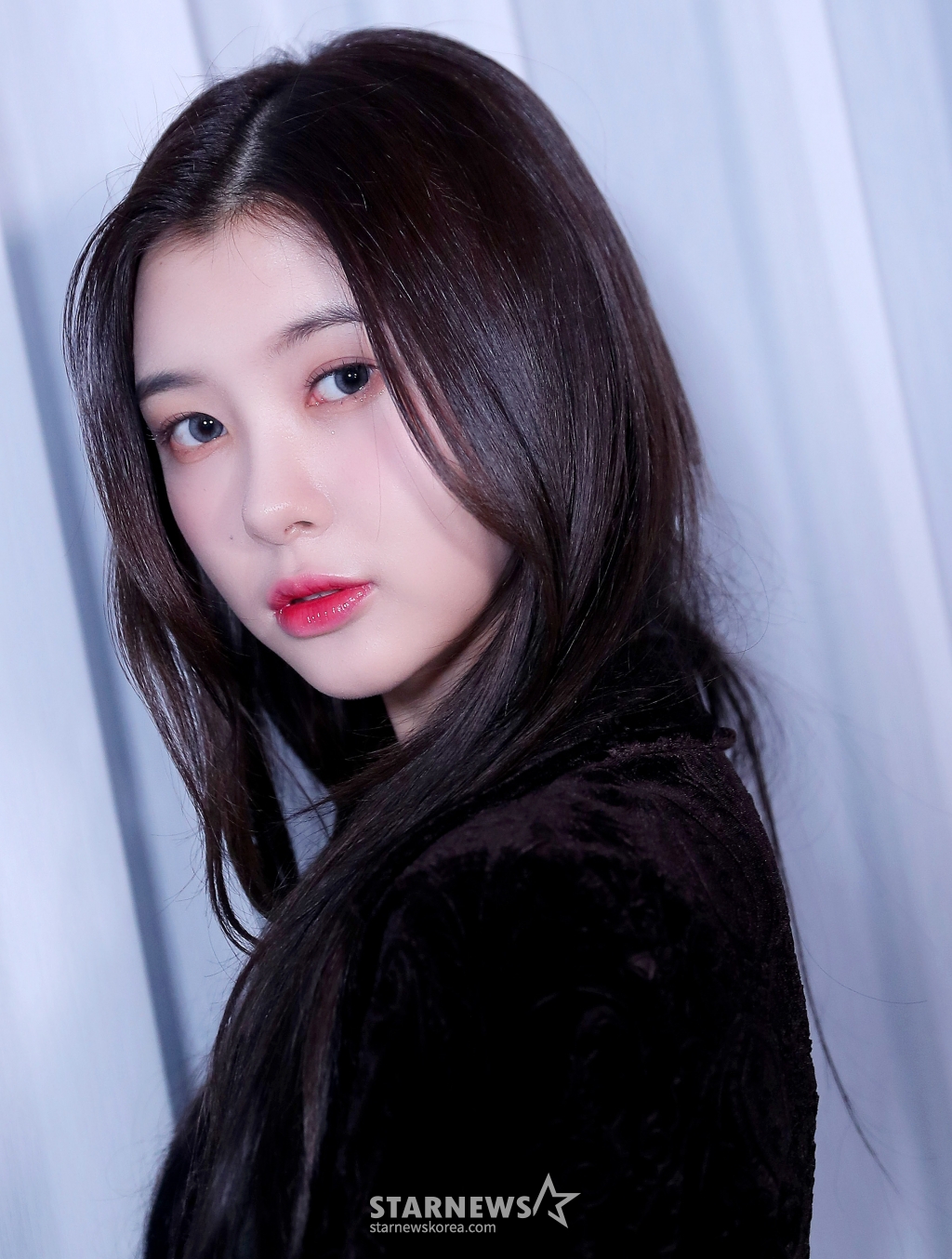 사진