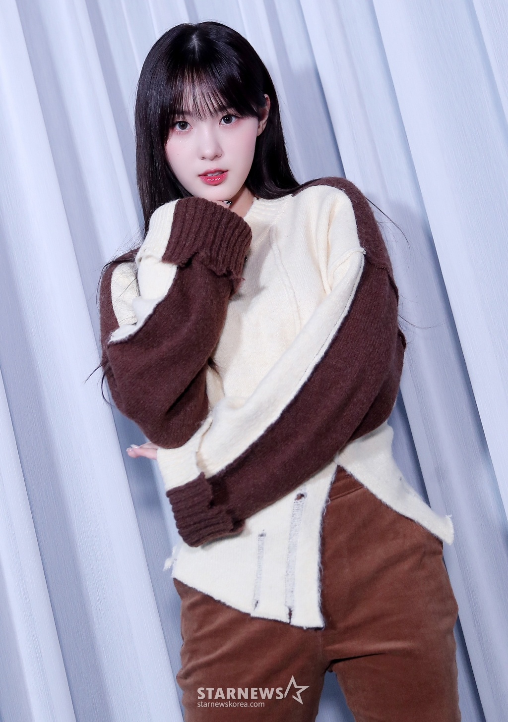사진