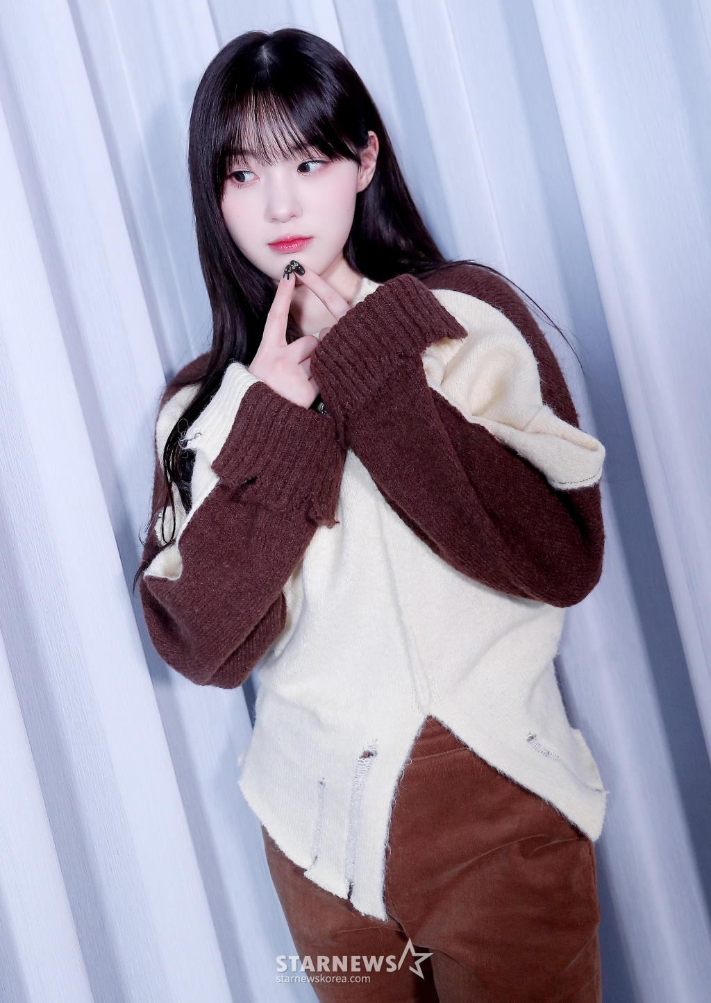 사진