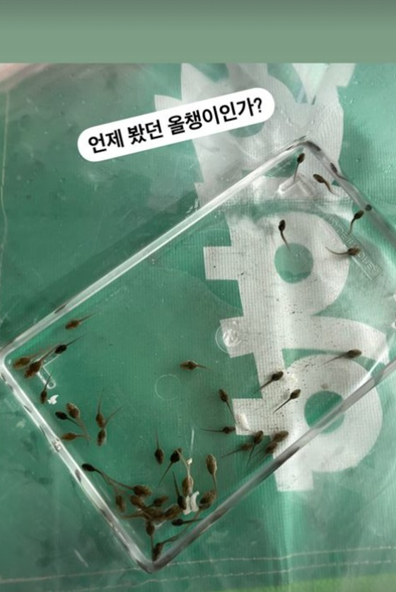 /사진=김영희