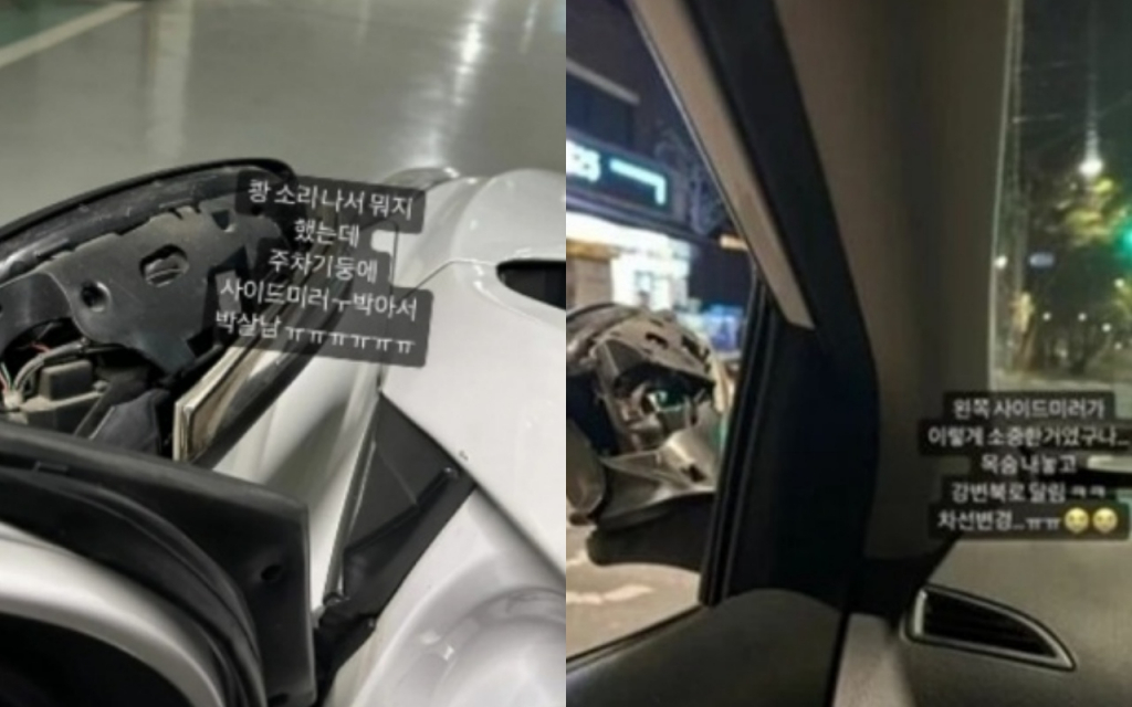 /사진=김선신 SNS