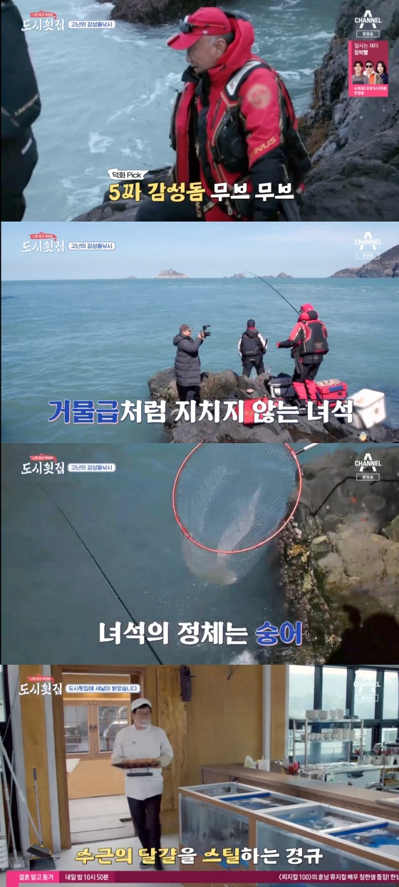 /사진='나만 믿고 먹어봐, 도시횟집' 방송화면