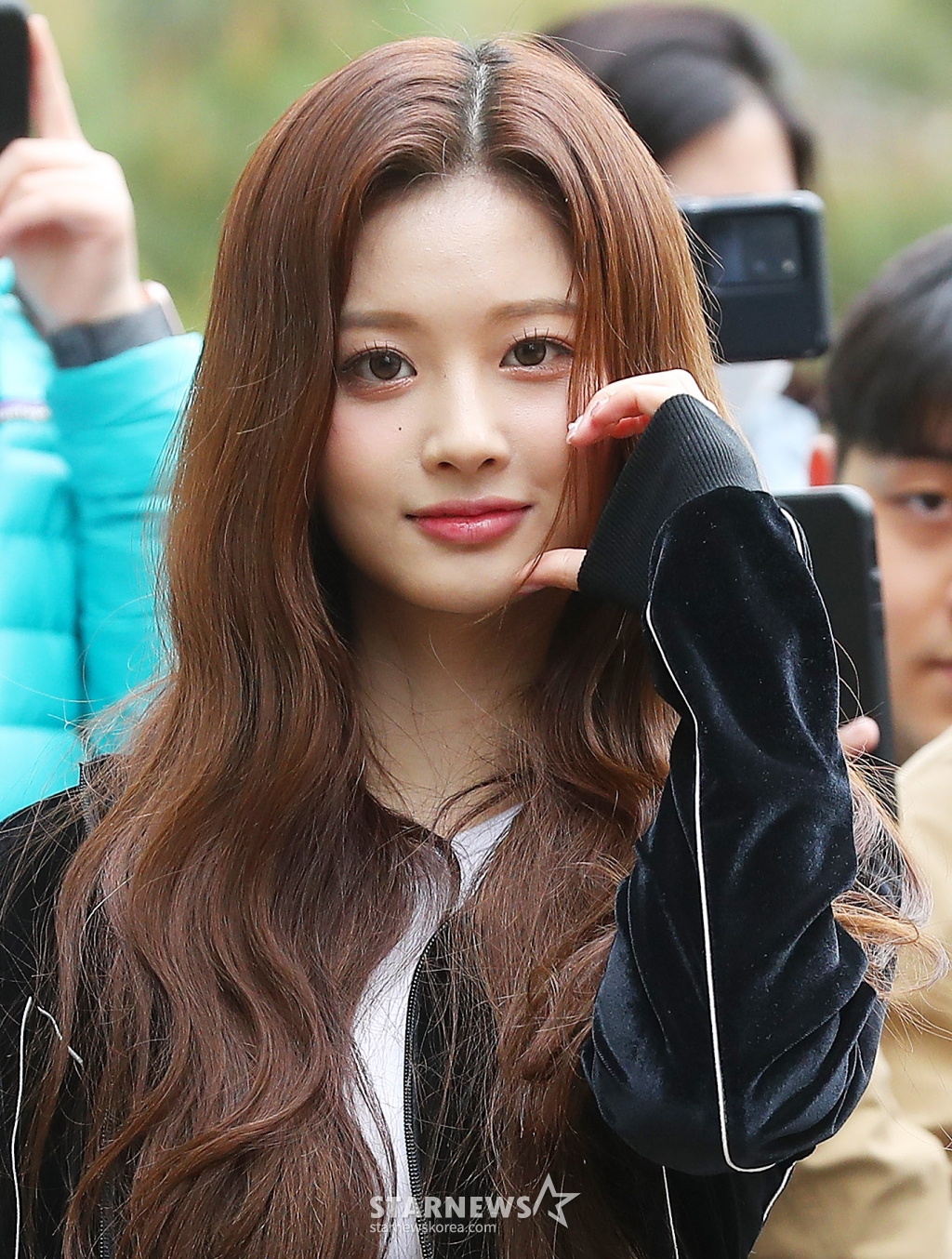 사진